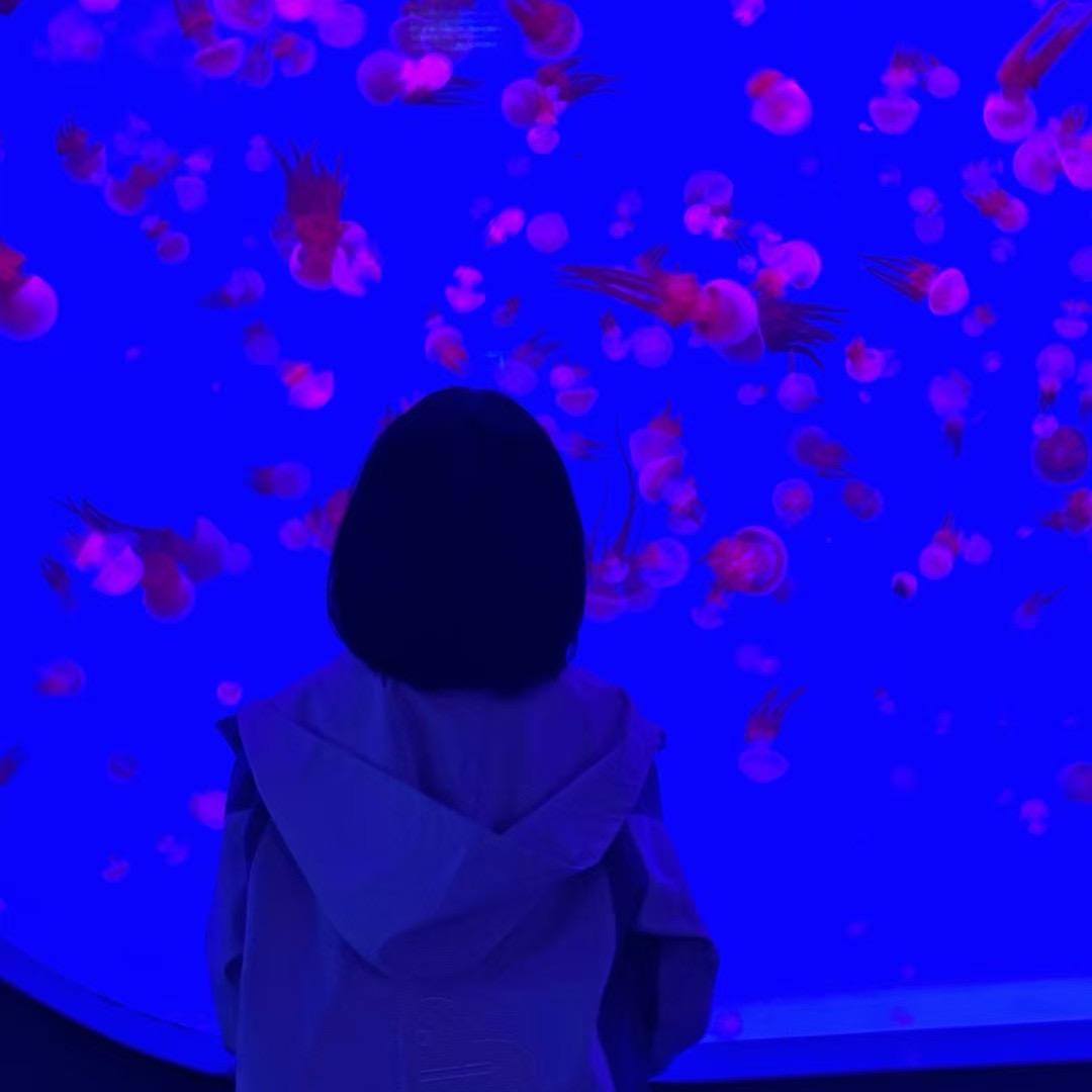 周周