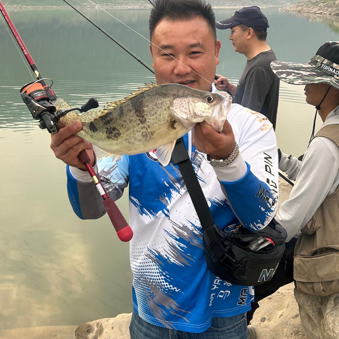 鳜在坚持🎣