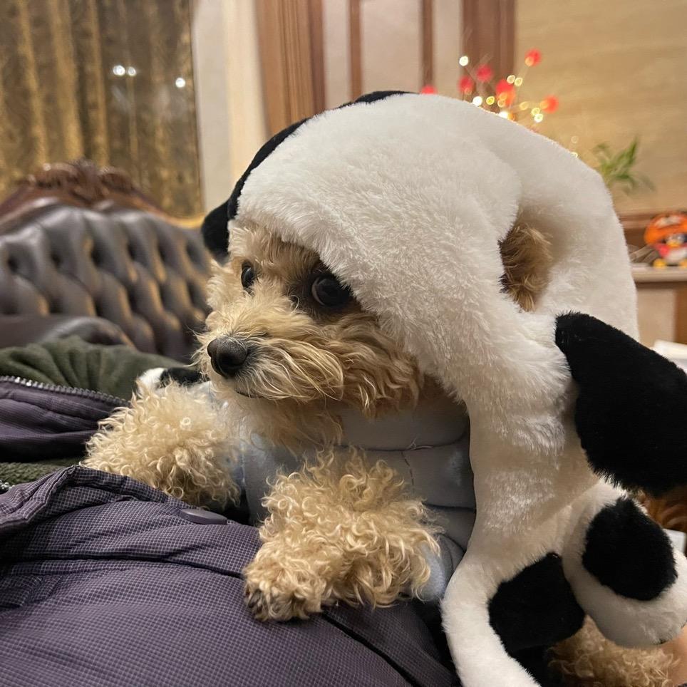 小pp爱拍照