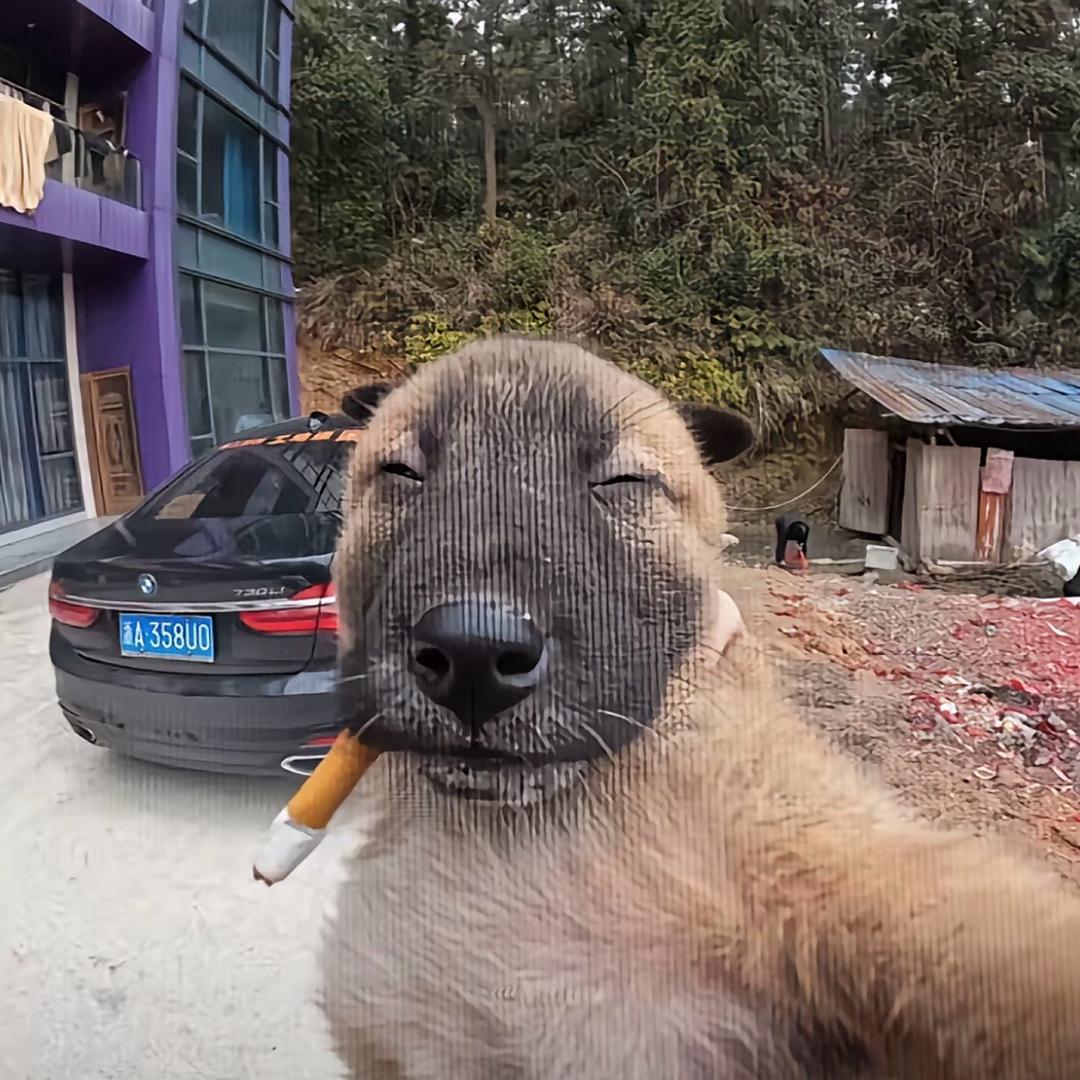 曺簙㴠