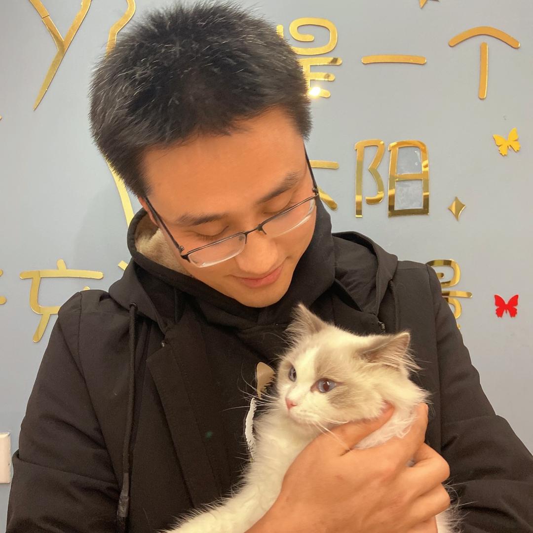 卖猫养家