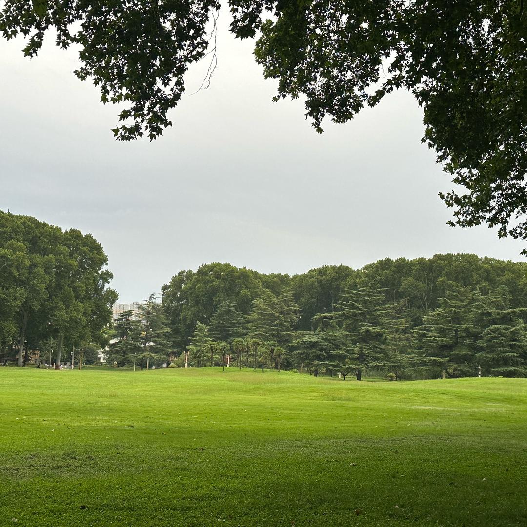 代金券（新人号）