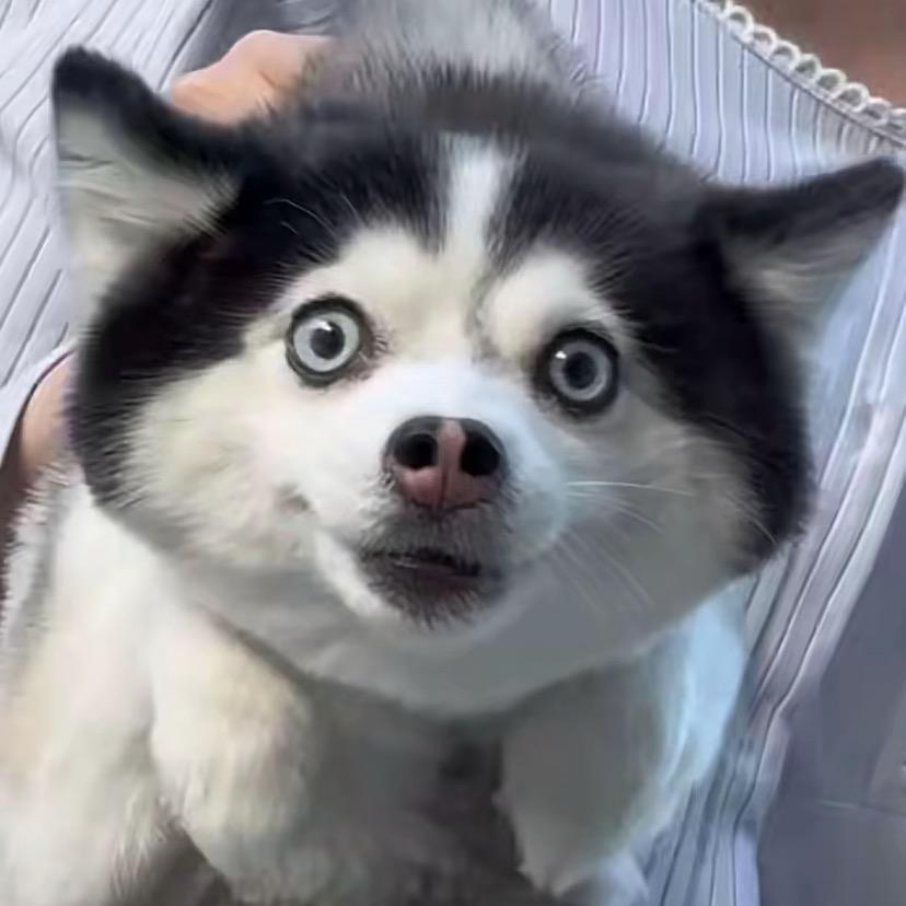 不吃姜的姜大人