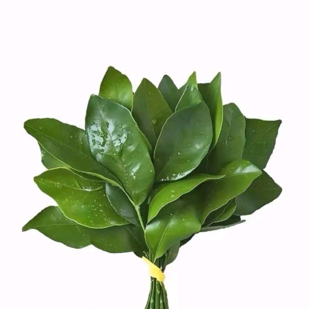 薄荷