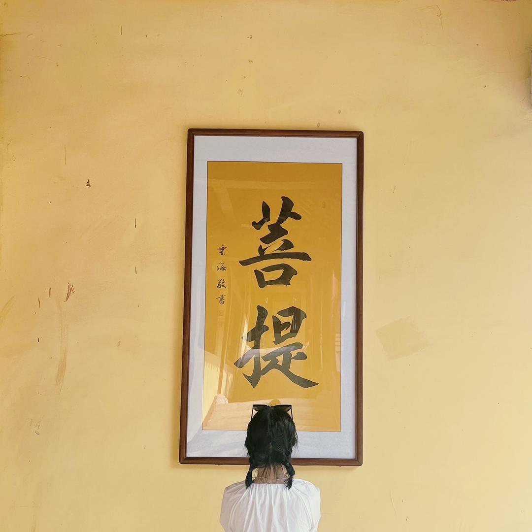 @太阳当空赵🇨🇳