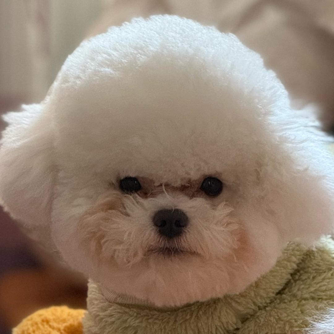 吃螺狮粉会长胖