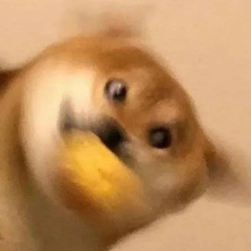 我叫小熊