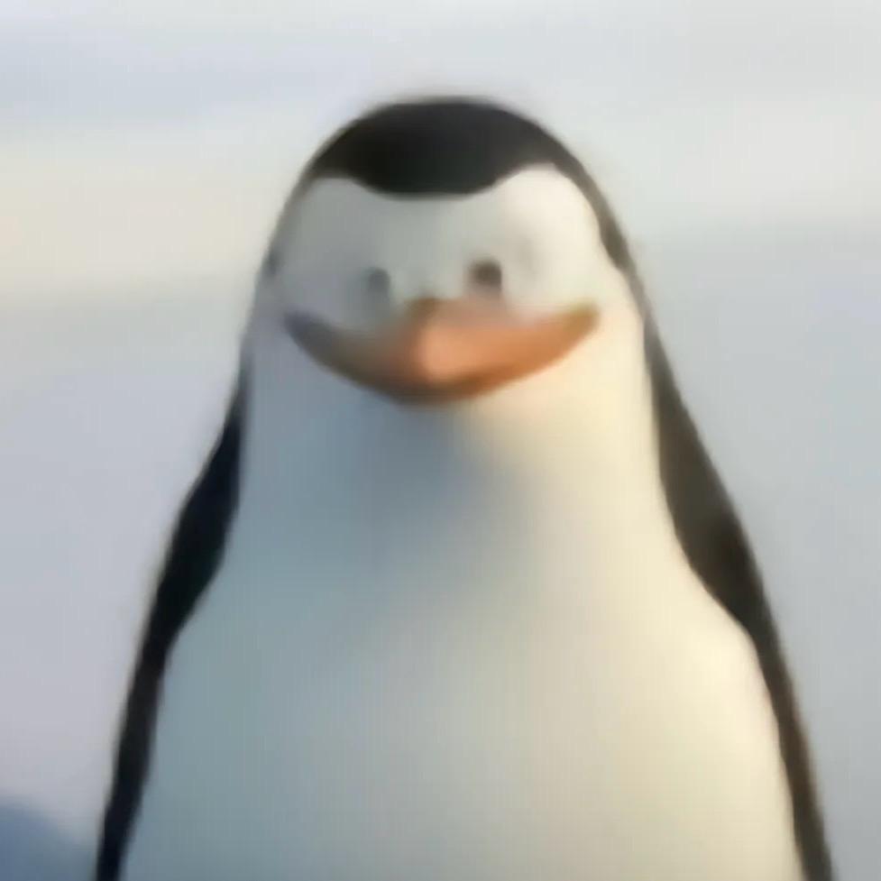 显真.