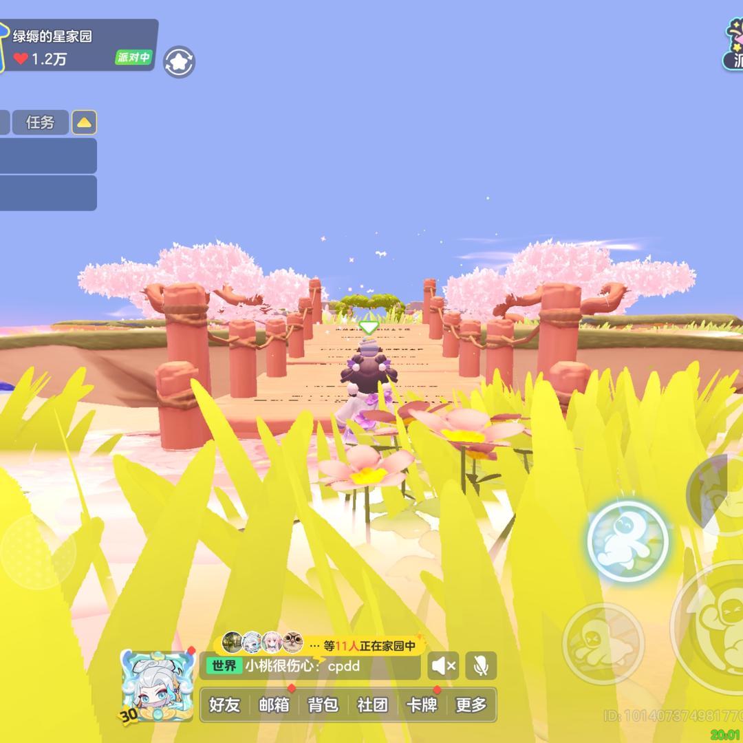 莫莉花茶