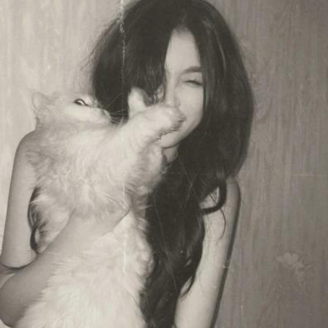 林黛玉倒拔垂杨柳