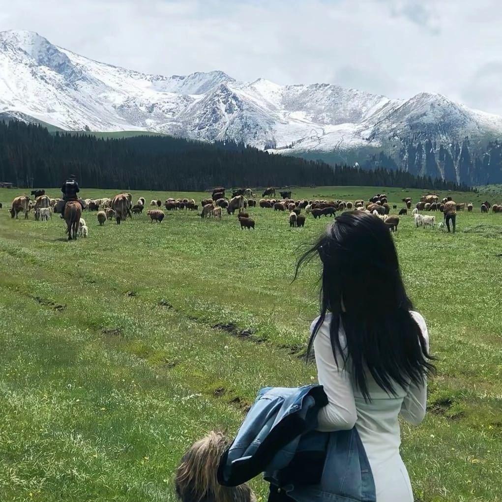 🐑……