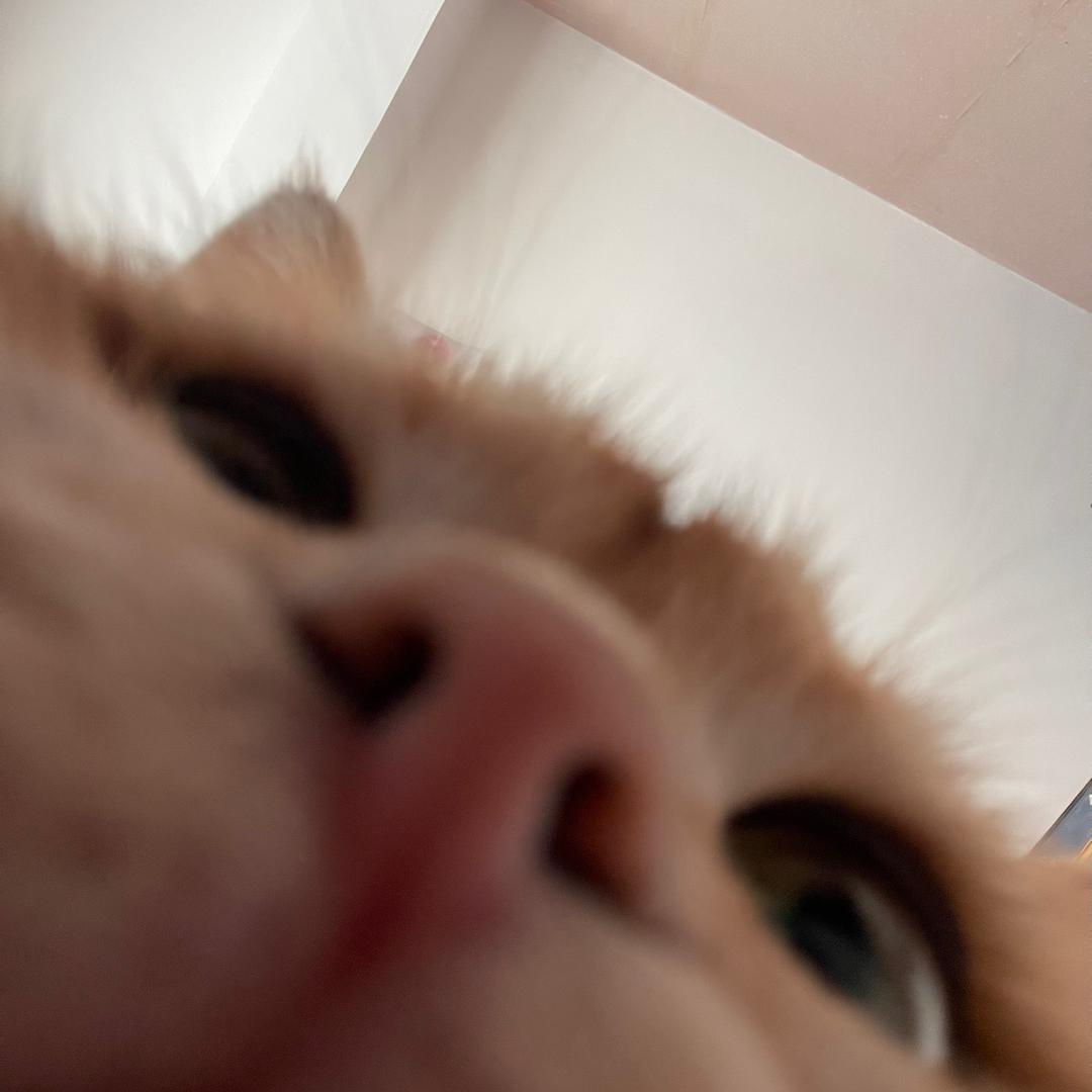 悟空mm