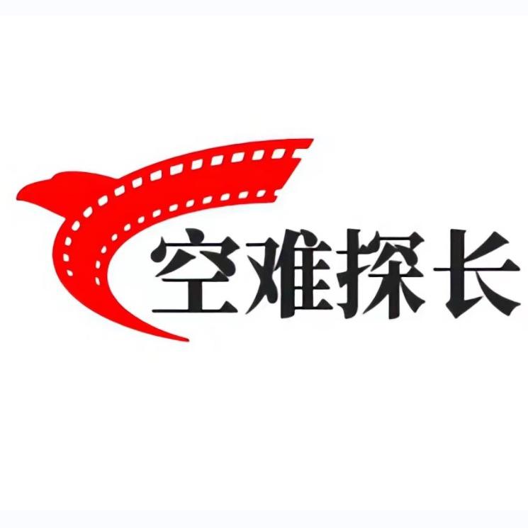空难探长