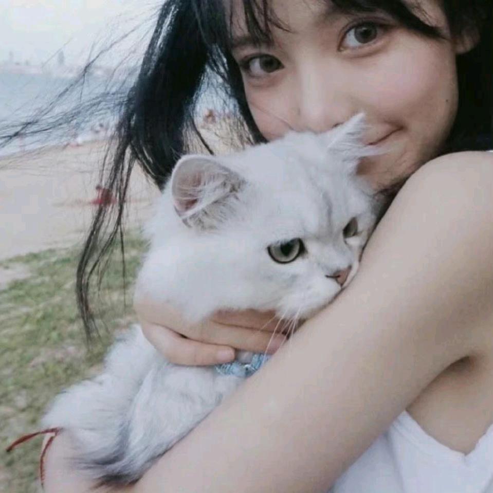 是霧