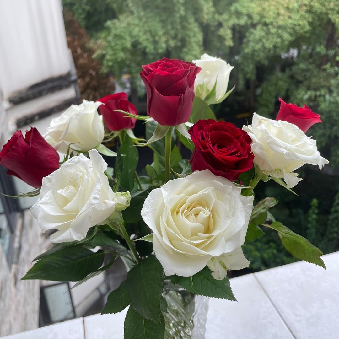 💧💧💧💧💧💧