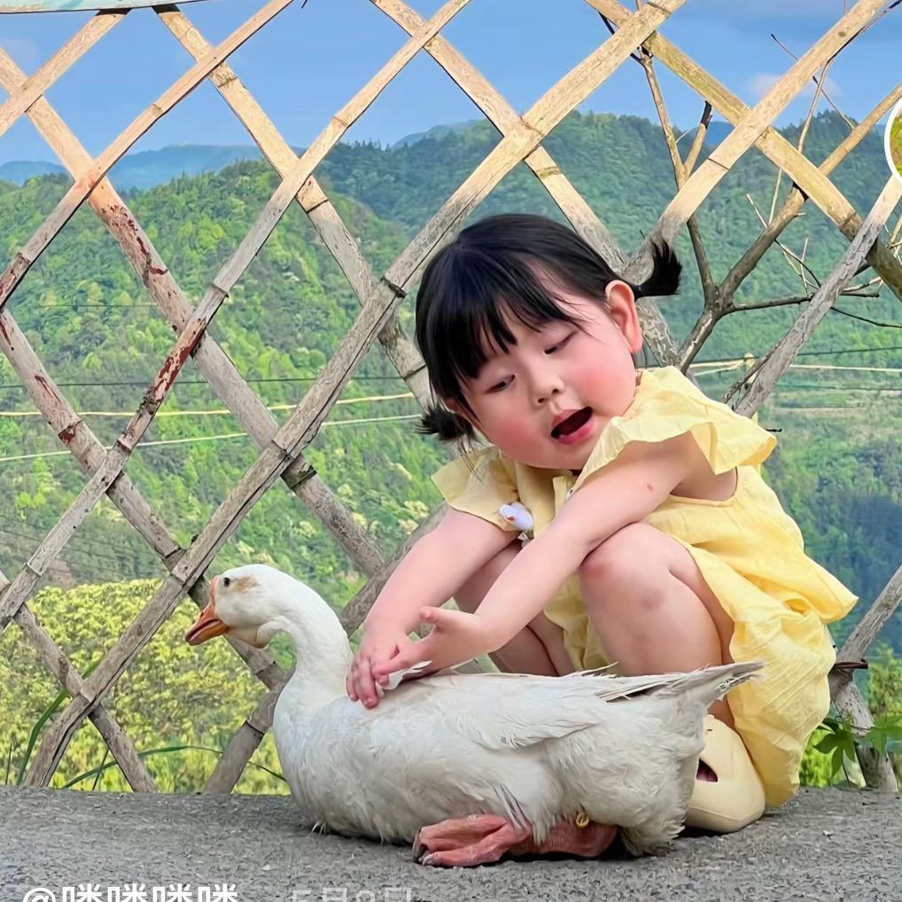 喜多喜潮玩散货