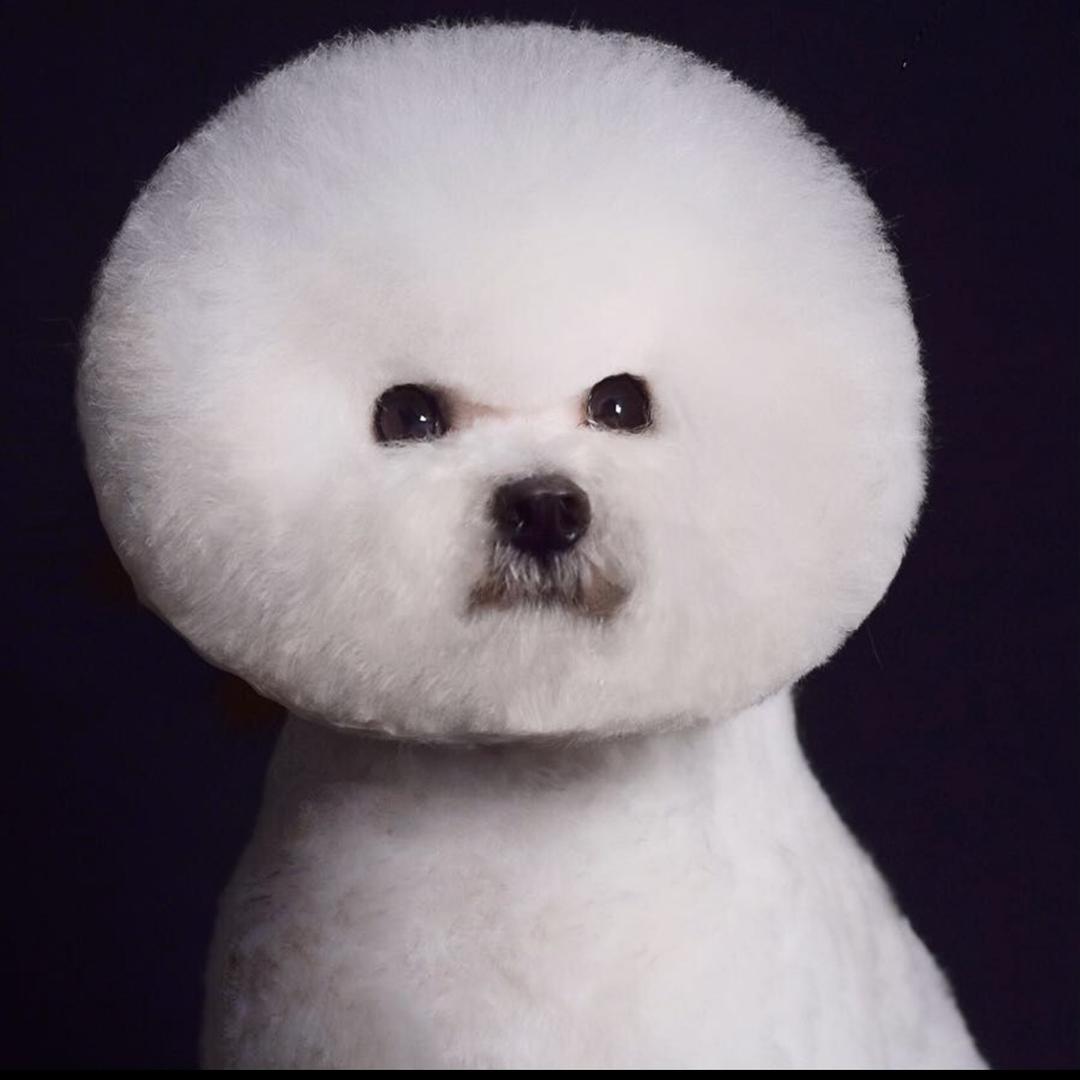 哆啦贝特宠物生活馆