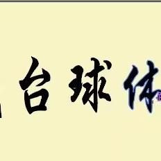 顶晟台球用品