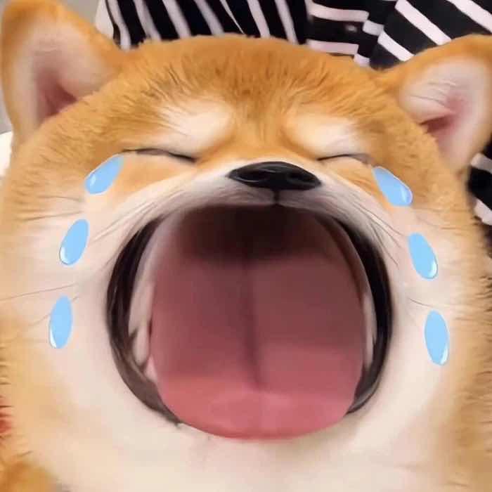 怪蜀黍