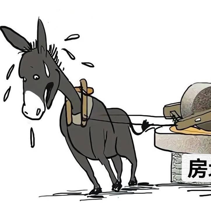 肥肥的红烧肉