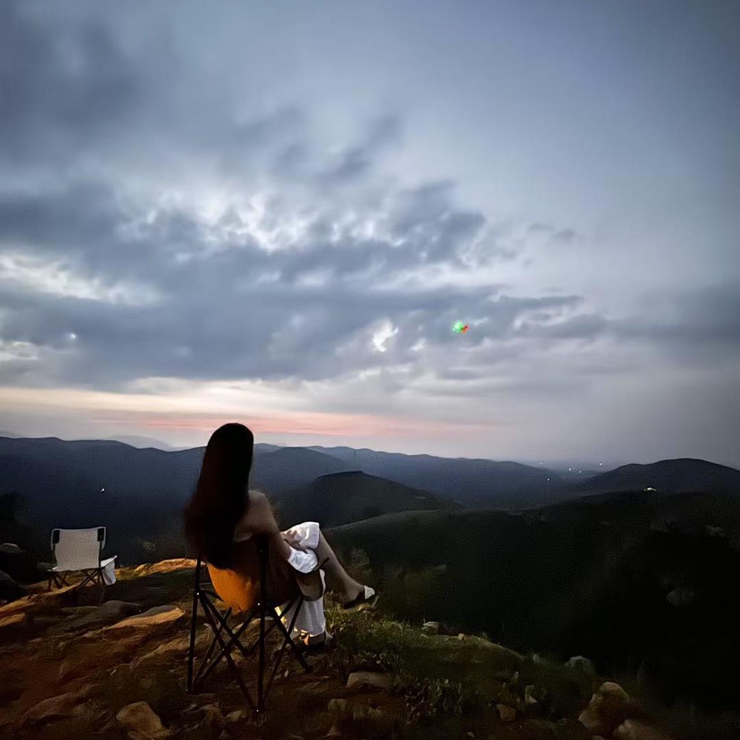 搁浅的鱼