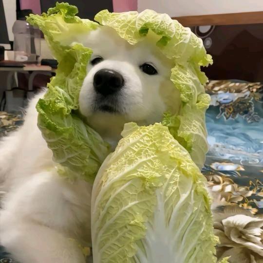 ·遗憾是常态