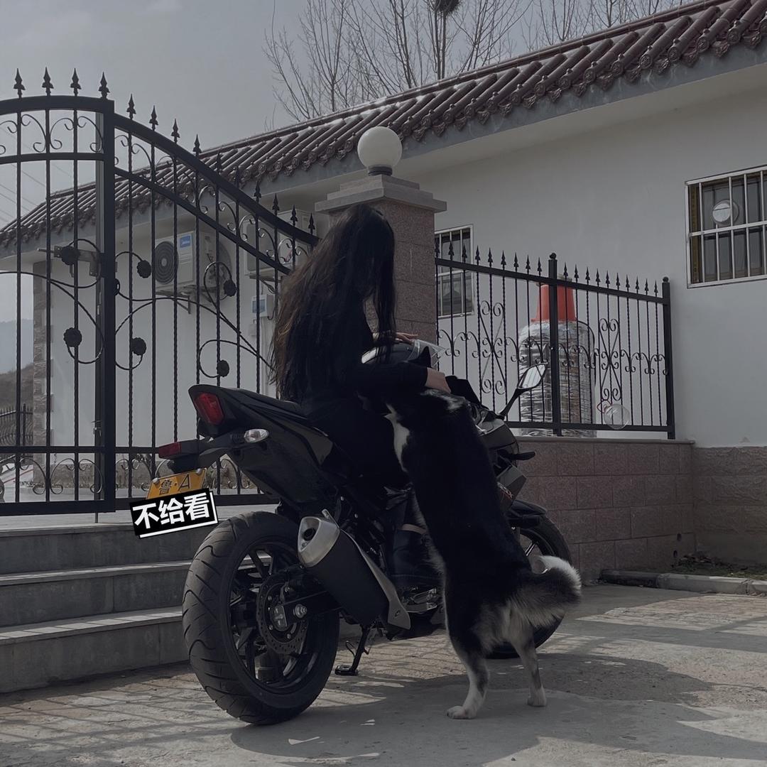 我是老可爱鸭