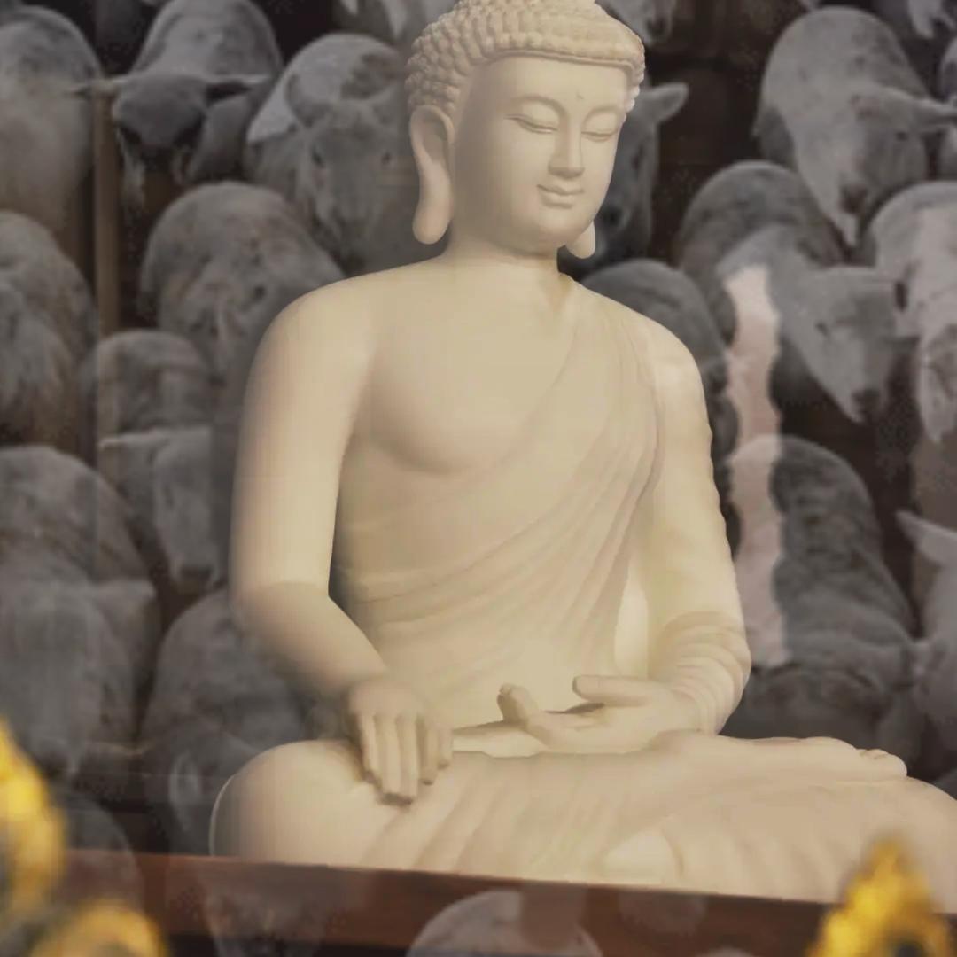 𝘽𝙪𝙧𝙣𝙃𝙤𝙥𝙚