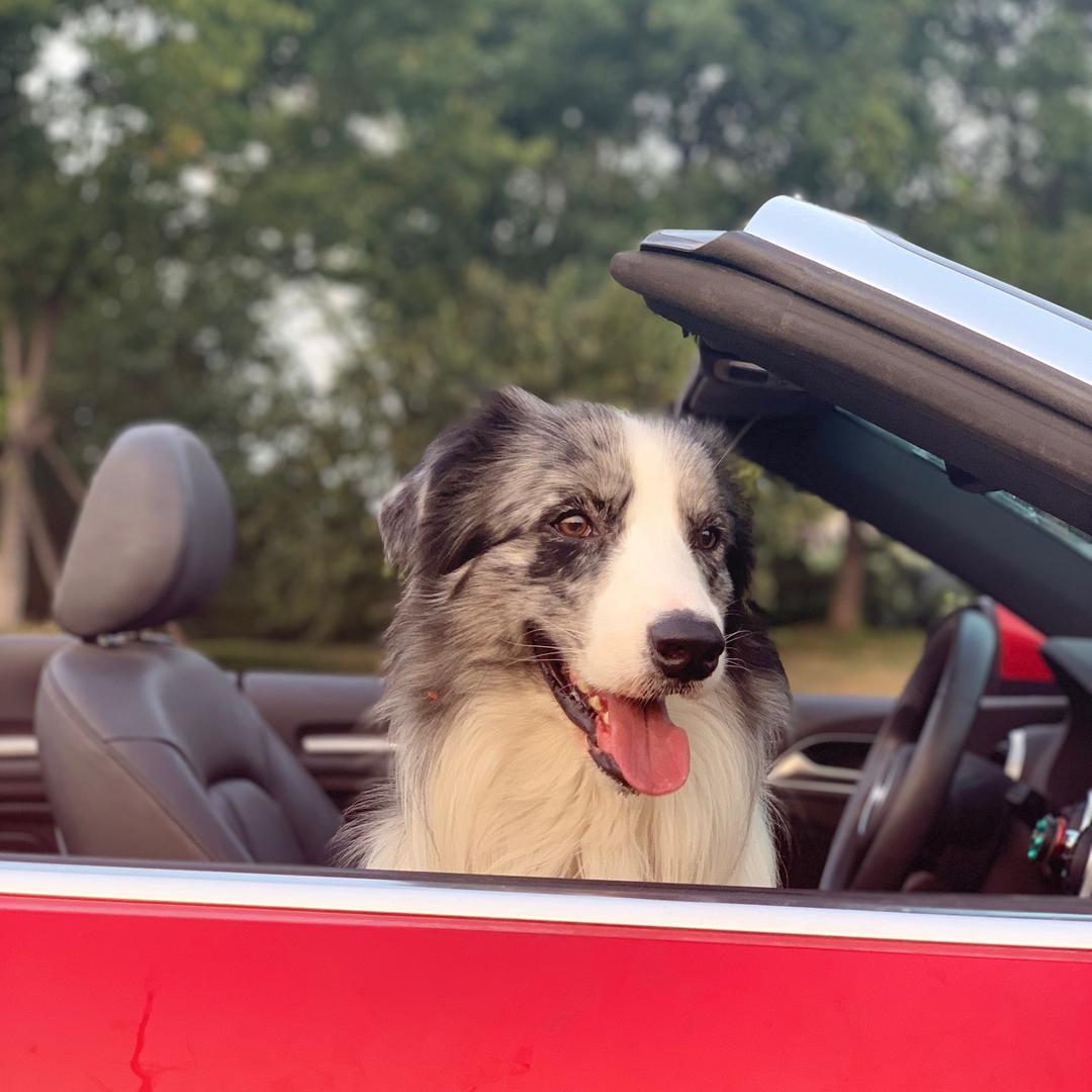 正在减脂的南哥