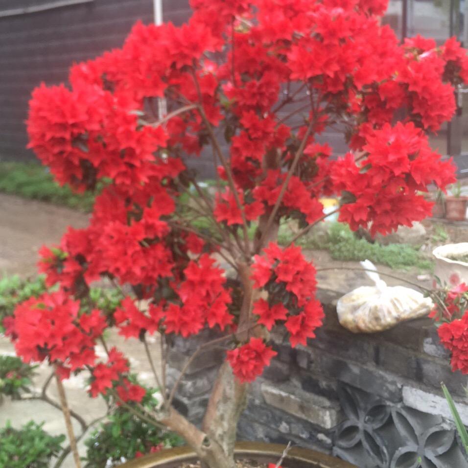 一帆风顺🎉🎉