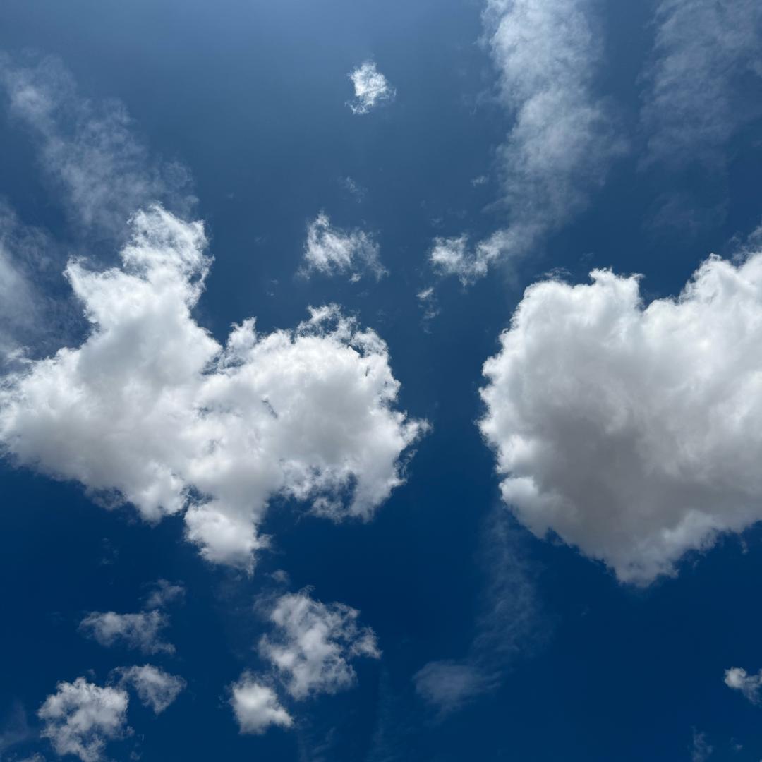 两个皮夹克换着穿