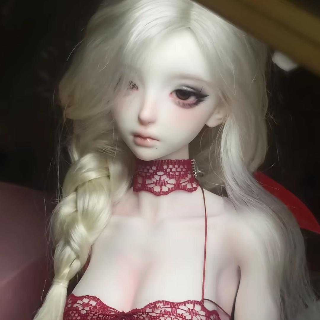 感猫1