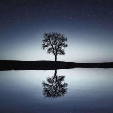 (❁´◡`❁)*✲ﾟ*💖