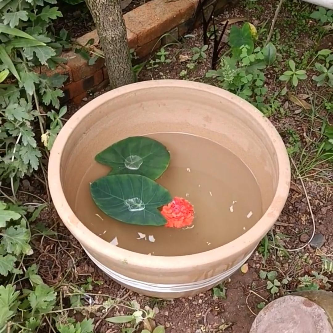 旭阳土陶抖音