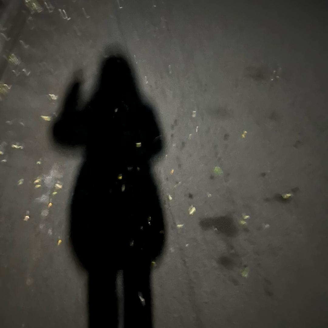 不爱生吃胡萝卜🥕