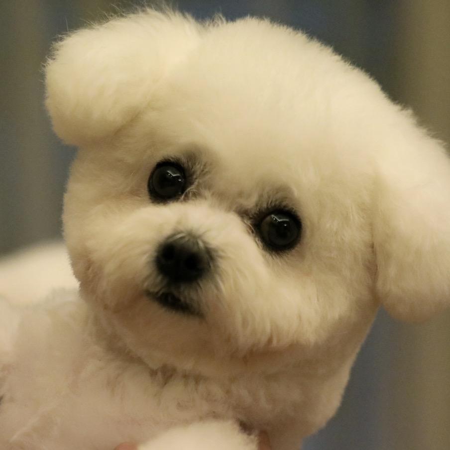 乌J哥 (凤凰🦅)