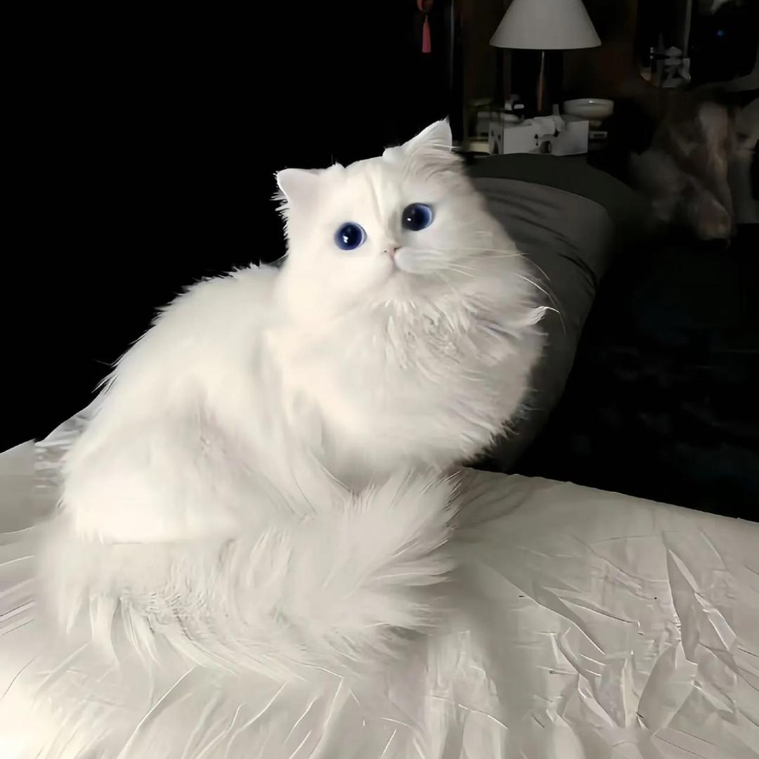 Kiraaa