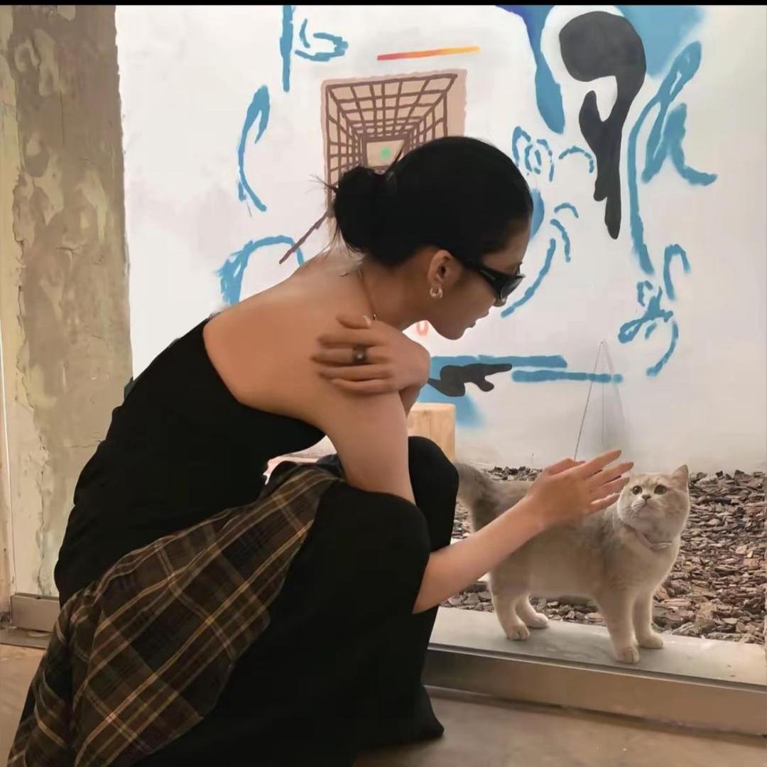 张张.