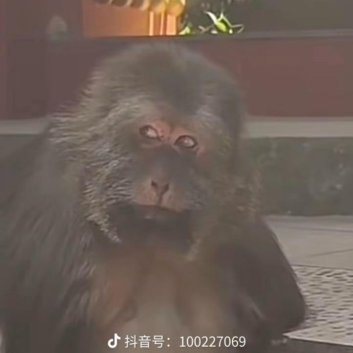 皈依