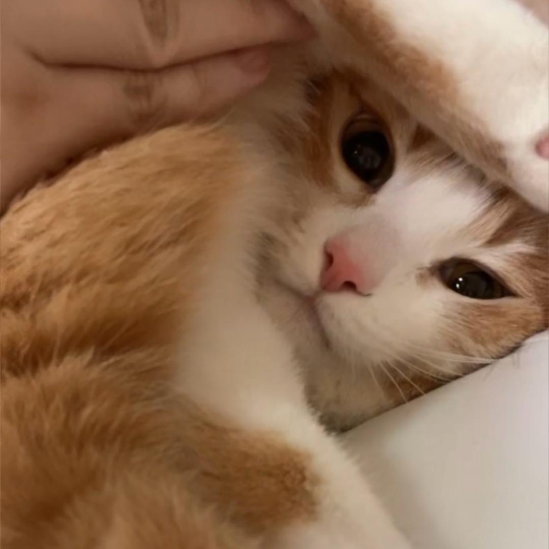 包租婆