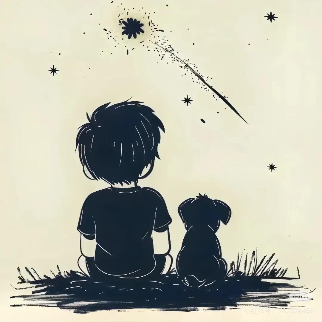 晒不黑的小黑╮          🪳
