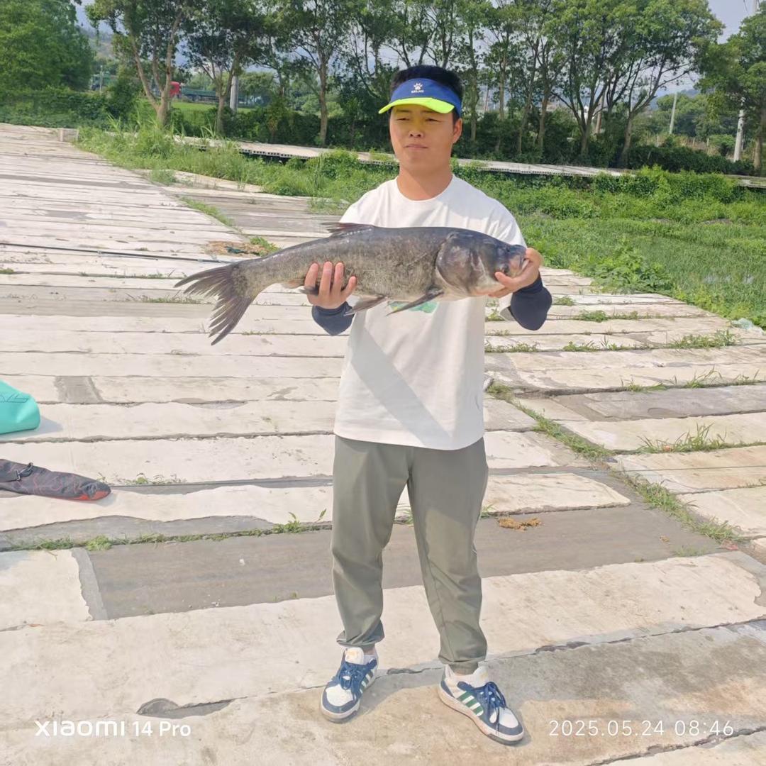 平盼纯