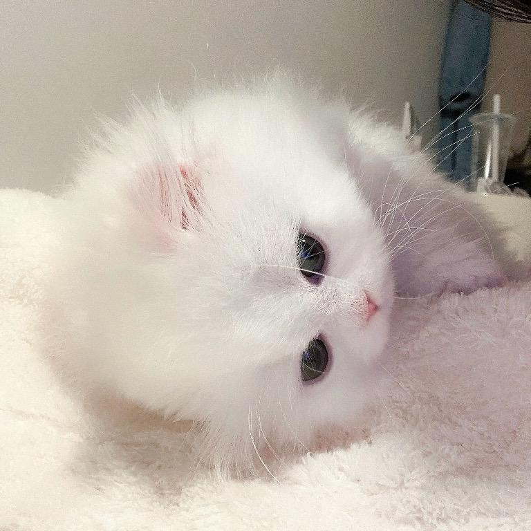 宣纸