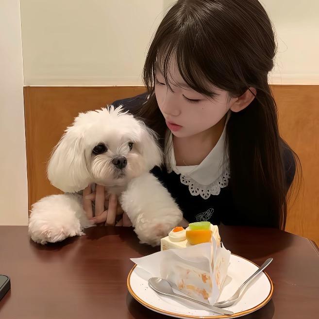 再改名字我是狗