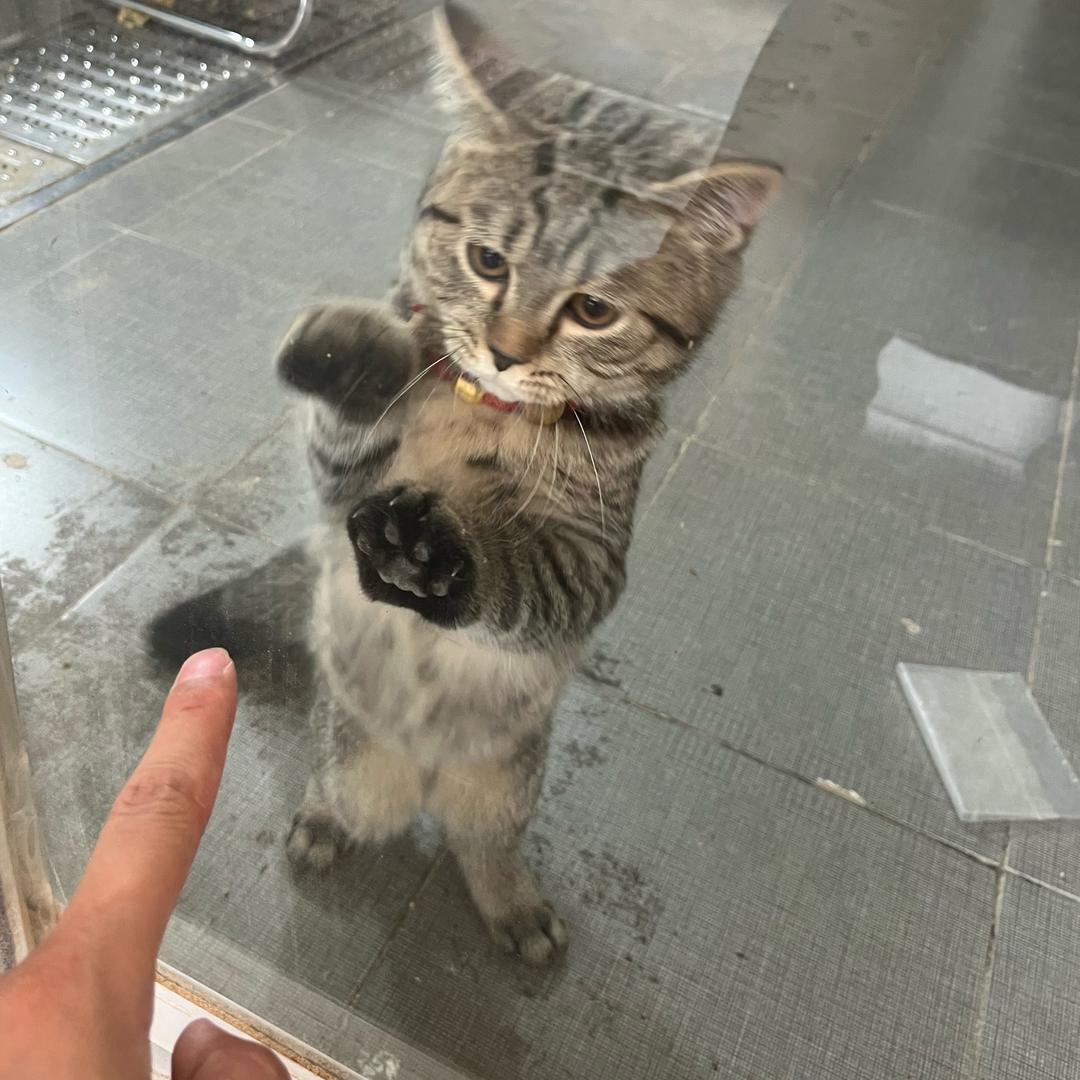 @老三