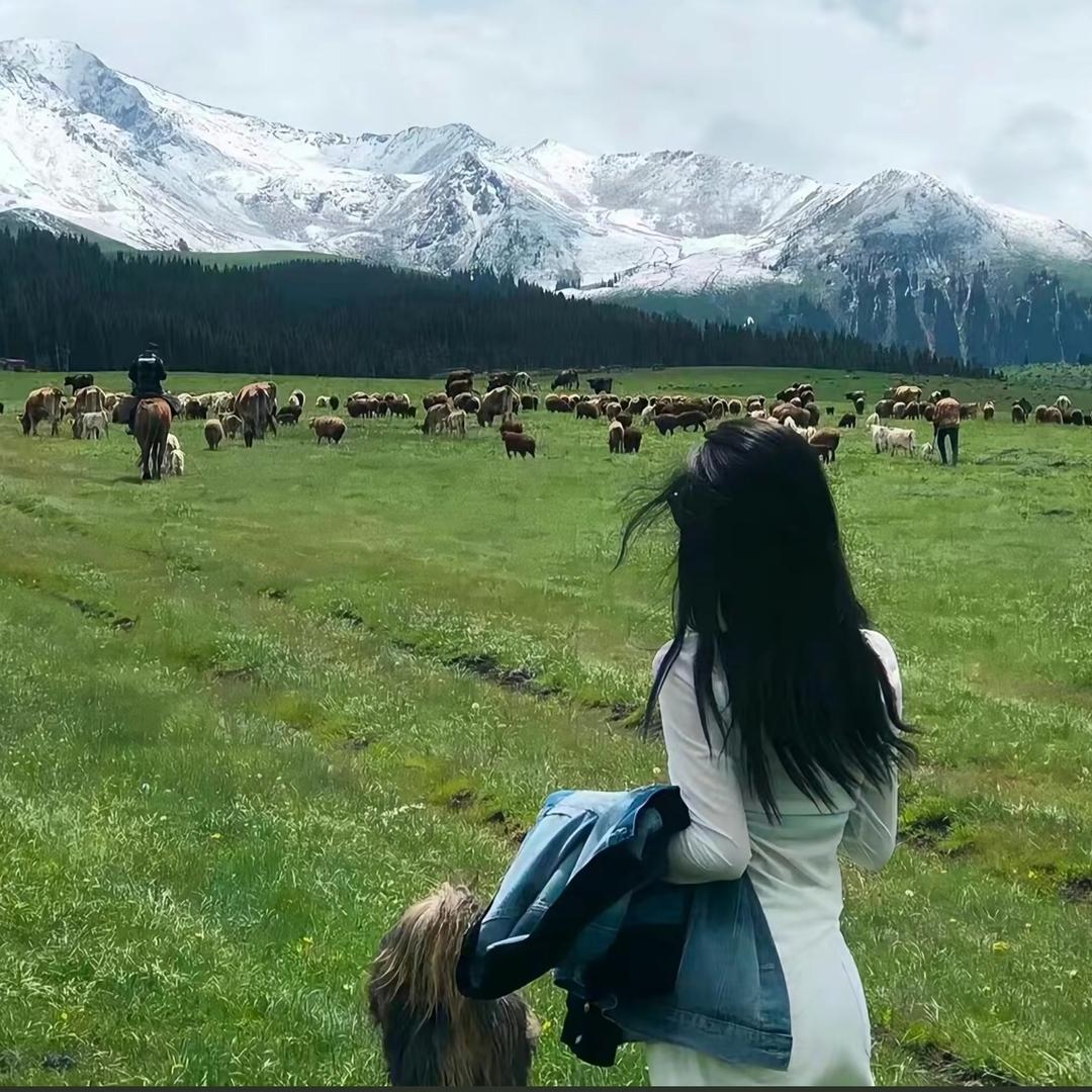 李女士的朋友圈