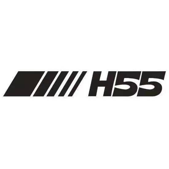 H55女鞋