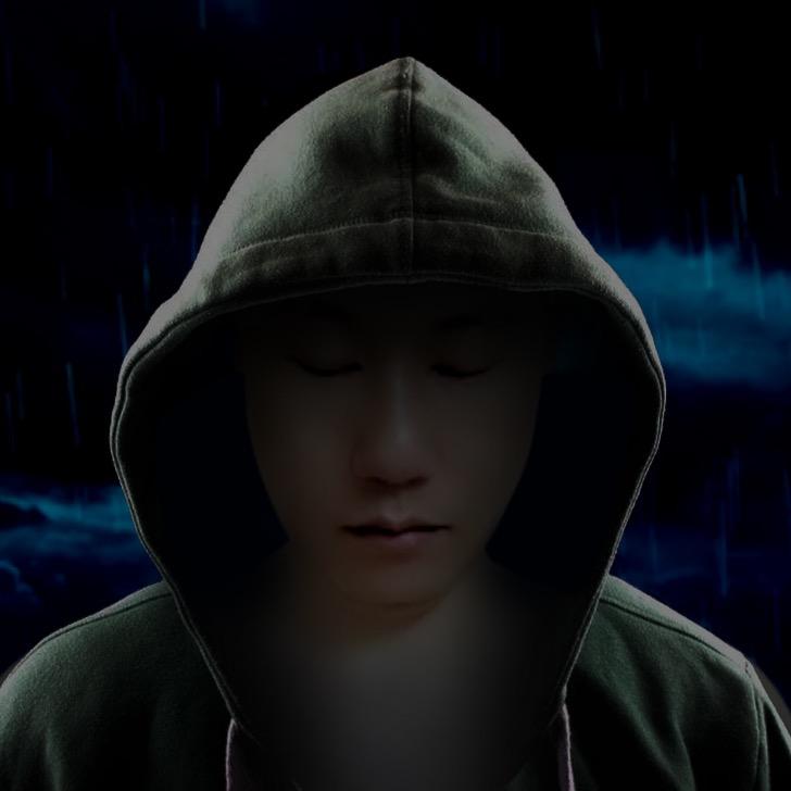 善翼
