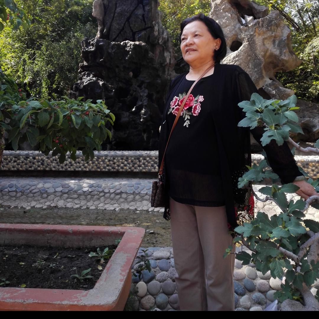 四季如春