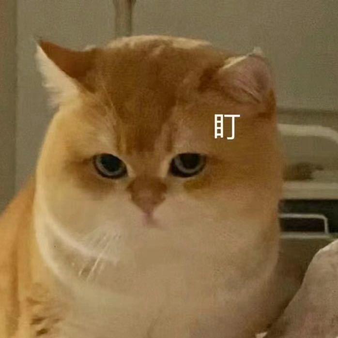 饼干